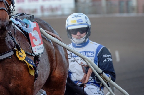 Magnus A Djuse hade flest hästar att välja mellan inför V75 Champions. Foto av Lars Jakobsson TR Bild